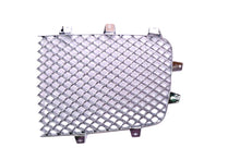 Load image into Gallery viewer, Bentley Continental Gt Gtc left radiator grille chrome insert 2016-2018 #2501