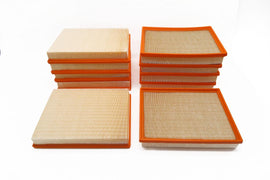 Maserati Quattroporte engine air filter TopEuro 10pcs #2086