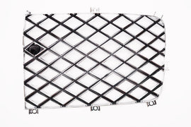 Bentley Continental Flying Spur Mulliner left main radiator grille #2775